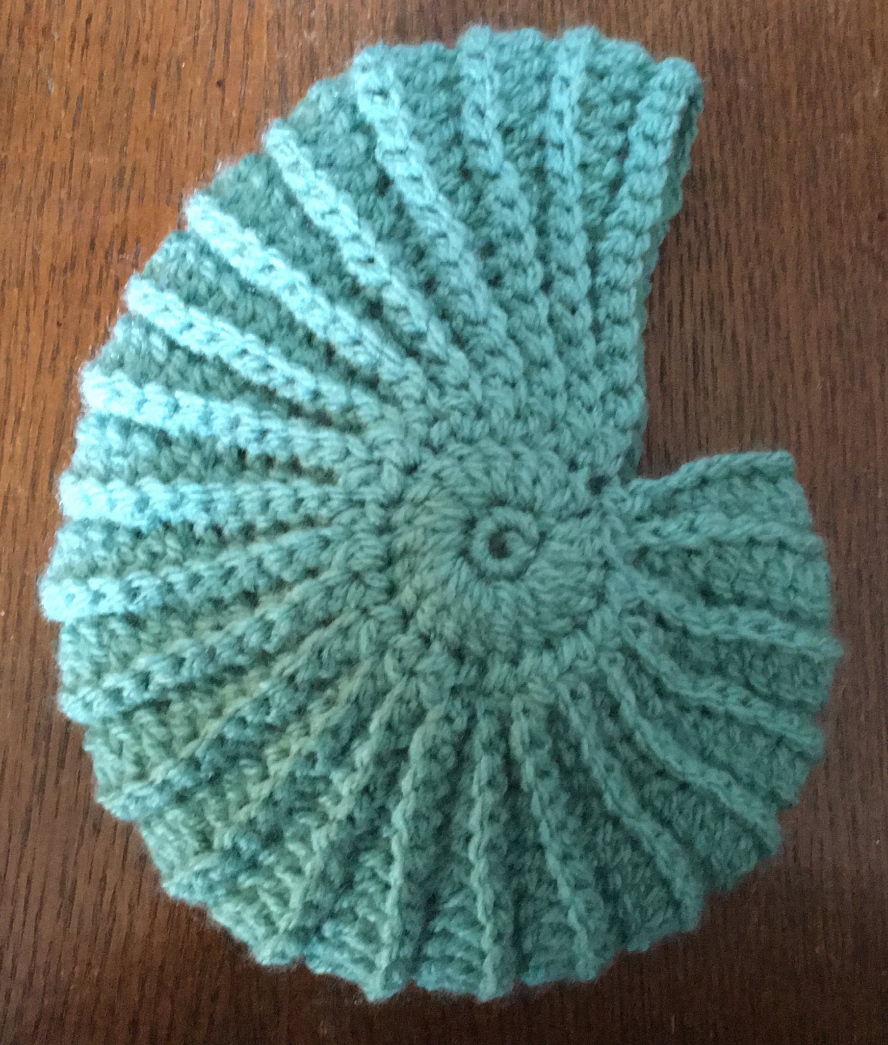 Light blue crochet ammonite shell