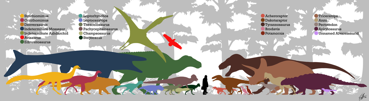 Diagram showing all the known Dinosauria from the Hell Creek Formation, including the indeterminate Azhdarchid pterosaur and aquatic reptiles: Champsosaurus and an indeterminate Mosasaur known from fragmentary remains.